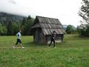 Tek okoli Bohinjskega jezera 2007