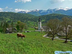 Stara Fužina in južne Bohinjske gore